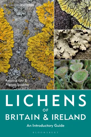 Lichens of Britain and Ireland