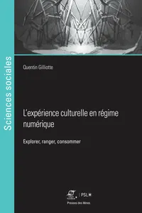 L’expérience culturelle en régime numérique_cover