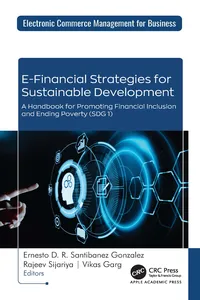 E-Financial Strategies for Sustainable Development_cover