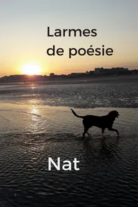 Larmes de poésie_cover