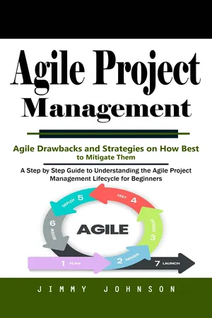 Agile Project Management: Agile Drawbacks and Strategies on How Best to Mitigate Them (A Step by Step Guide to Understanding the Agile Project Management Lifecycle for Beginners)