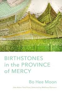 Birthstones in the Province of Mercy_cover