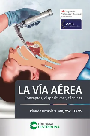 La vía aérea. Conceptos, dispositivos y técnicas