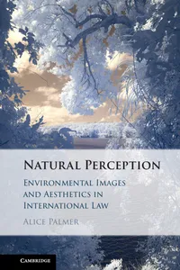 Natural Perception_cover