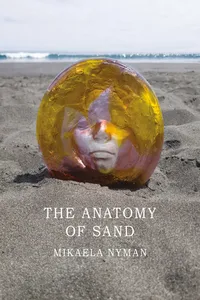 The Anatomy of Sand_cover