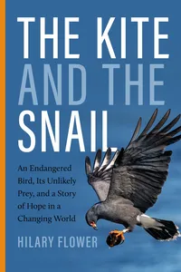 The Kite and the Snail_cover