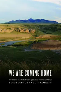 We Are Coming Home_cover