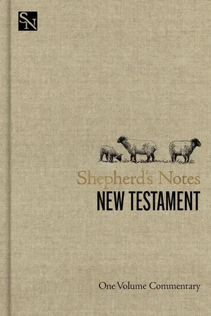 Shepherd's Notes on the New Testament