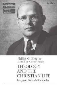 Theology and the Christian Life_cover