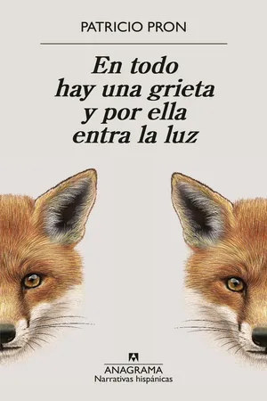 En todo hay una grieta y por ella entra la luz