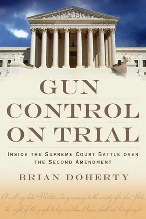 Gun Control on Trial