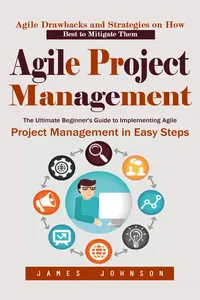 Agile Project Management: Agile Drawbacks and Strategies on How Best to Mitigate Them_cover