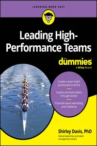 Leading High-Performance Teams For Dummies_cover