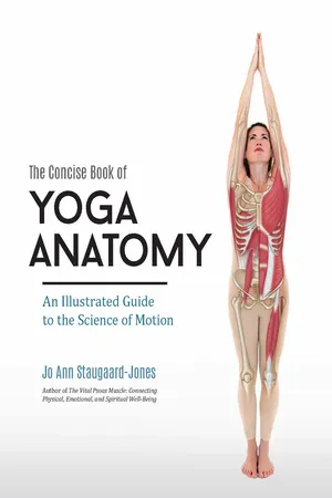 The Concise Book of Yoga Anatomy