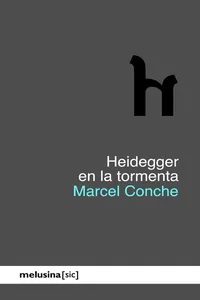 Heidegger en la tormenta_cover