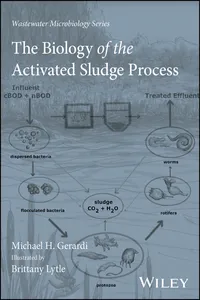 The Biology of the Activated Sludge Process