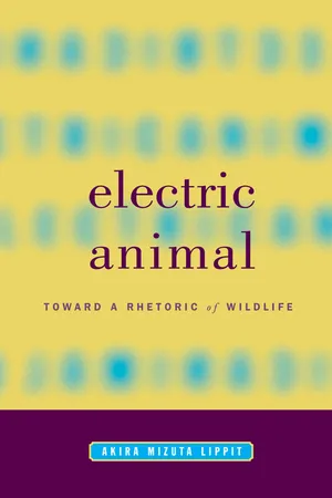 Electric Animal