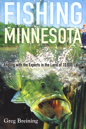 Fishing Minnesota