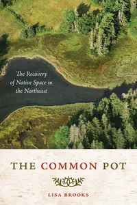 The Common Pot_cover
