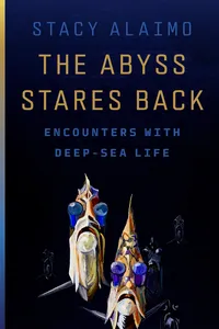 The Abyss Stares Back_cover