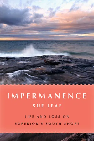 Impermanence