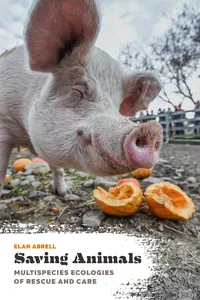 Saving Animals_cover