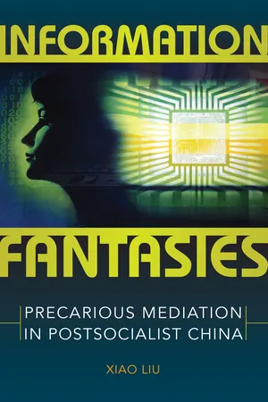 Information Fantasies