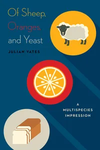 Of Sheep, Oranges, and Yeast_cover