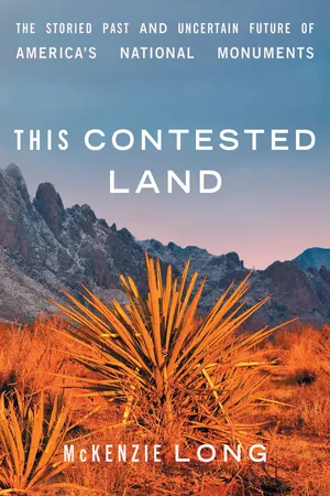 This Contested Land