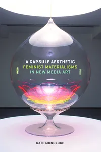 A Capsule Aesthetic_cover