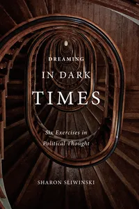 Dreaming in Dark Times_cover