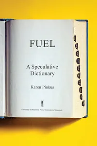 Fuel_cover
