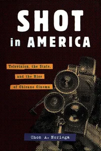 Shot In America_cover