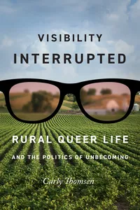Visibility Interrupted_cover