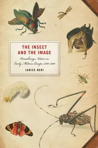 The Insect and the Image_cover