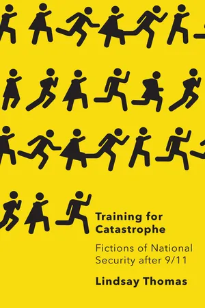 Training for Catastrophe
