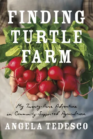 Finding Turtle Farm