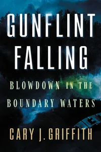 Gunflint Falling_cover