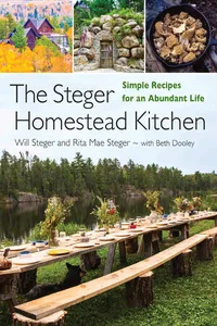 The Steger Homestead Kitchen_cover
