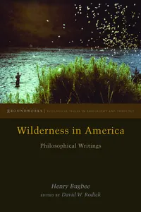 Wilderness in America_cover