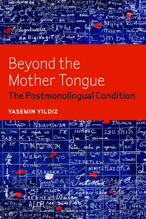 Beyond the Mother Tongue