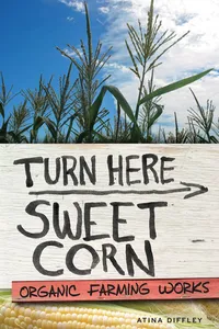 Turn Here Sweet Corn_cover