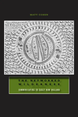 The Networked Wilderness
