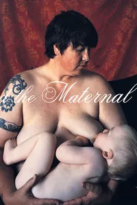 Feminist Art and the Maternal_cover