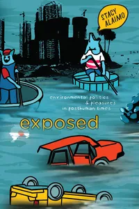 Exposed_cover