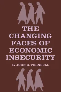 The Changing Faces of Economic Insecurity_cover