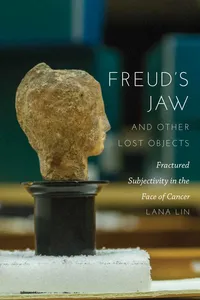 Freud's Jaw and Other Lost Objects_cover