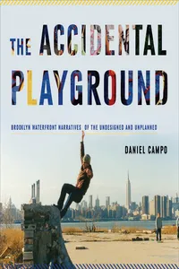 The Accidental Playground_cover