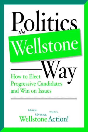 Politics the Wellstone Way