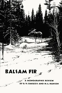 Balsam Fir
